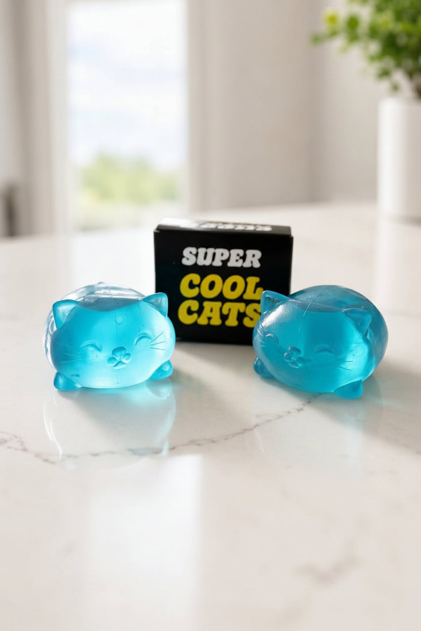 Cool Cats Squishy
